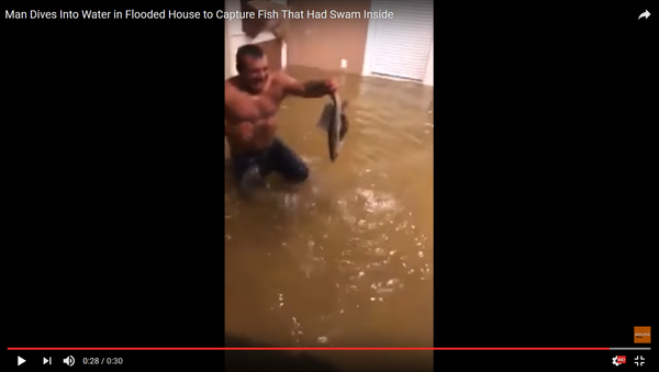 Мужчина ловит рыбу в гостиной затопленного дома - Sputnik Lietuva