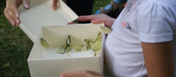 День окружающей среды в зоопарке в Каунасе День окружающей среды в зоопарке в Каунасе - Sputnik Литва