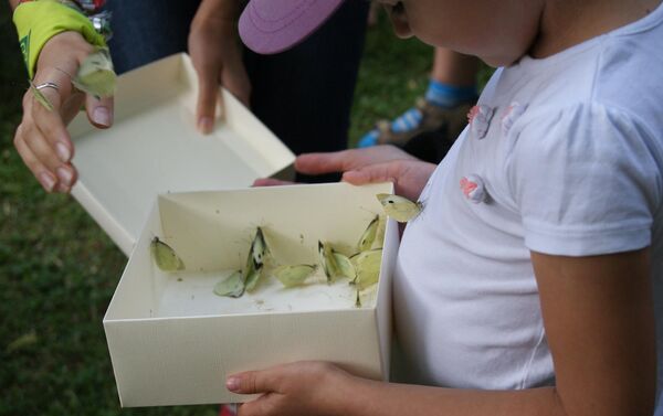 Дети выпускали бабочек в зоопарке - Sputnik Литва