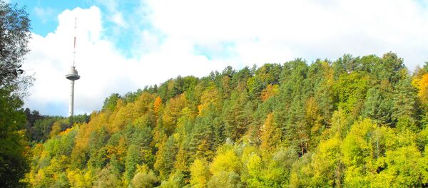 Винге парк в Вильнюсе Винге парк в Вильнюсе - Sputnik Lietuva