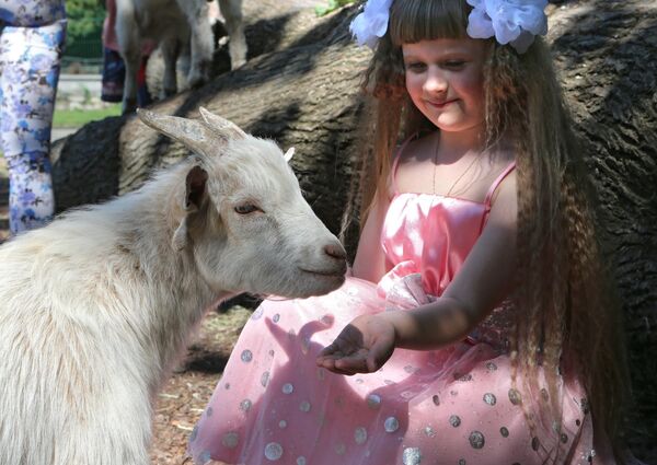 Калининградский зоопарк Калининградский зоопарк - Sputnik Литва