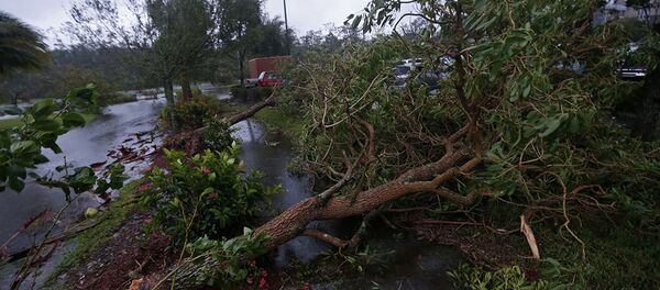 Из-за поваленных деревьев заблокированы улицы в городе Форт-Майерс, штат Флорида. Из-за поваленных деревьев заблокированы улицы в городе Форт-Майерс, штат Флорида. - Sputnik Литва