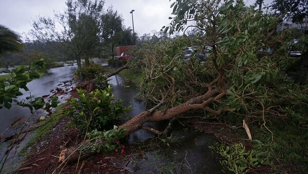 Из-за поваленных деревьев заблокированы улицы в городе Форт-Майерс, штат Флорида. - Sputnik Lietuva