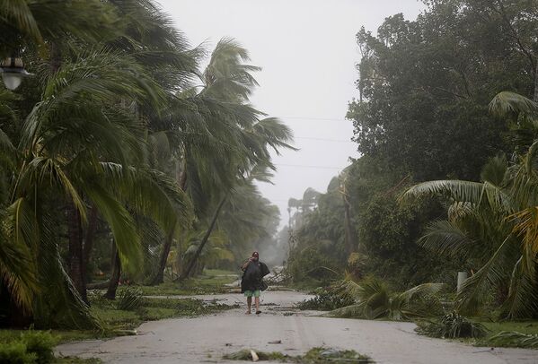 Человек идет по улице заваленной упавшими деревьями, город Неаполь, штат Флорида. - Sputnik Литва