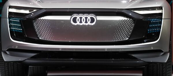 Audi Elaine Audi Elaine - Sputnik Lietuva