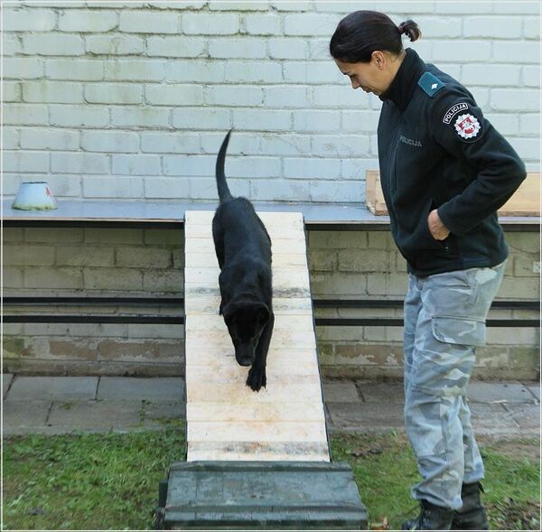 Милашка через два года станет грозой преступников - Sputnik Литва