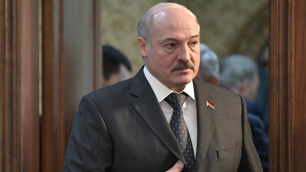 Президент Беларуси Александр Лукашенко на заседании Высшего Евразийского экономического совета - Sputnik Литва