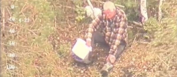 Литовские пограничники спасли грибника Литовские пограничники спасли грибника - Sputnik Литва