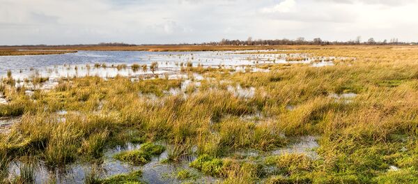 Затопленное поле, архивное фото Затопленное поле, архивное фото - Sputnik Литва