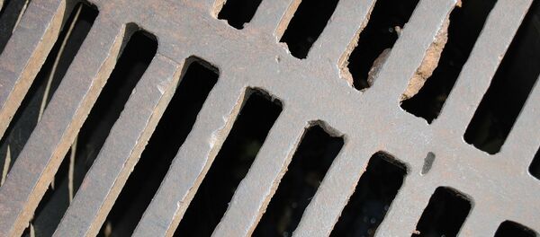 Люк Люк - Sputnik Lietuva