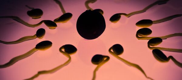Оплодотворение - Sputnik Литва