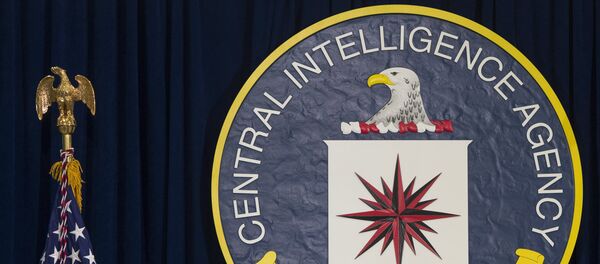 Логотип ЦРУ и флаг США - Sputnik Литва