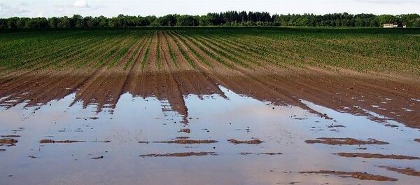 Поле залитое водой Поле залитое водой - Sputnik Lietuva