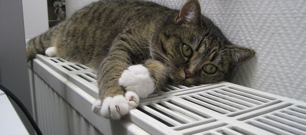 Отопительный сезон - Sputnik Литва