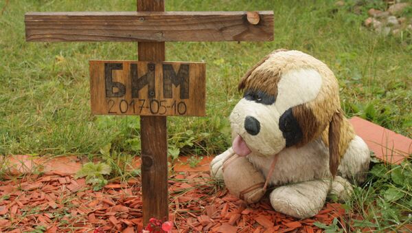 Мягкие игрушки и кресты украшают могилы животных - Sputnik Lietuva