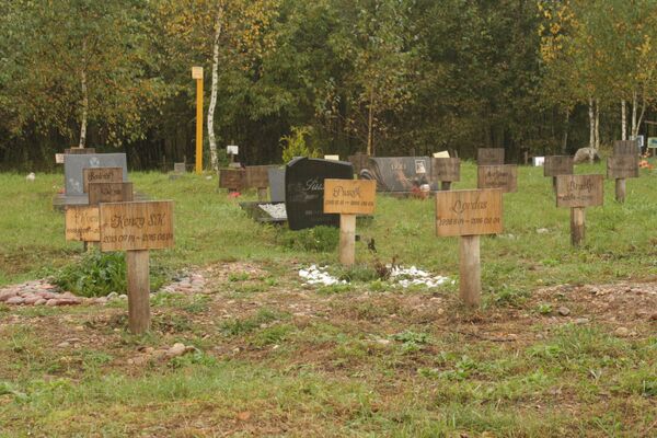 Таблички над могилами животных с указанием кличек и дат рождения и смерти Таблички над могилами животных с указанием кличек и дат рождения и смерти - Sputnik Lietuva
