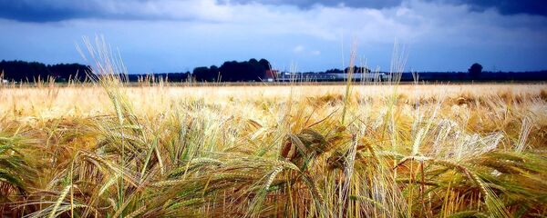 Гроза - Sputnik Литва