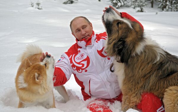 Putinas su šunimis Baffi ir Jume pasivaikščiojimo metu Maskvos srityje, 2013 metų kovo 24 diena - Sputnik Lietuva