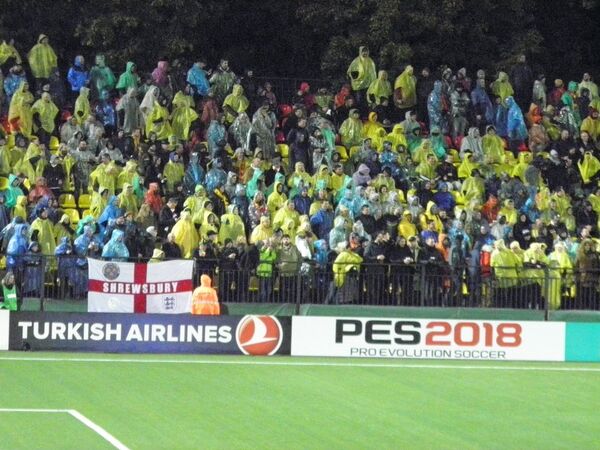 Болельщики на матче отборочного цикла ЧМ-2018 по футболу в подгруппе F - Sputnik Литва