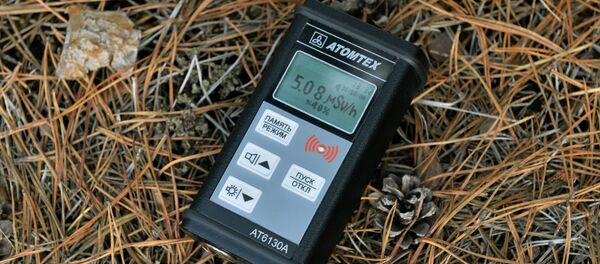 Бытовой дозиметр, архивное фото - Sputnik Литва