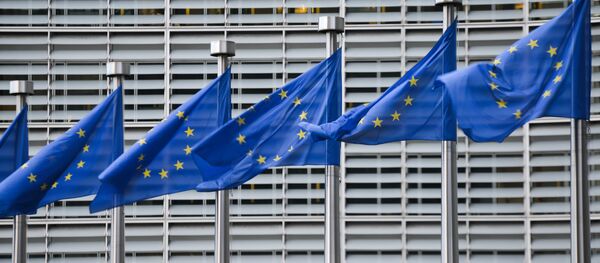 Флаги Евросоюза - Sputnik Литва