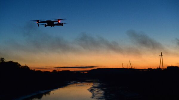 Повседневная жизнь - Sputnik Lietuva