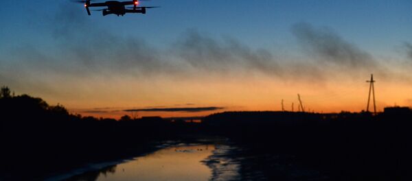 Повседневная жизнь Повседневная жизнь - Sputnik Lietuva