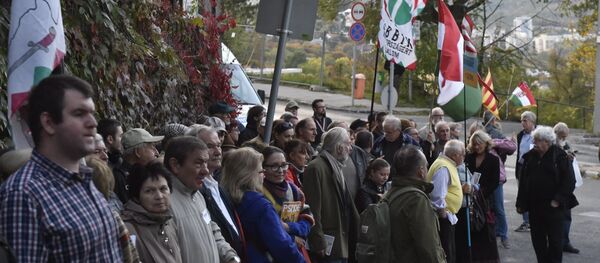 Акция протеста в Венгрии против украинского закона об образовании. 13 октября 2017 года - Sputnik Литва