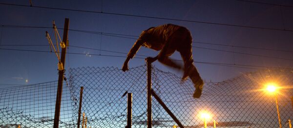 Мигрант перепрыгивает через забор в Кале, Франция Мигрант перепрыгивает через забор в Кале, Франция - Sputnik Литва