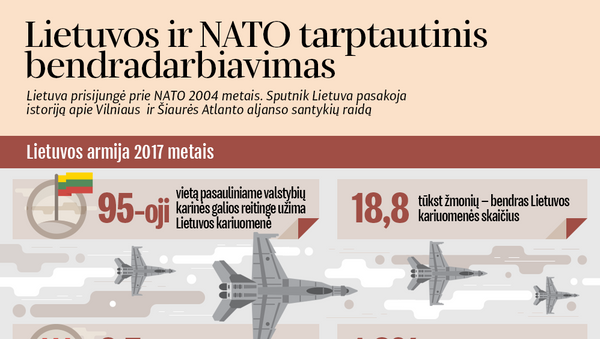 Lietuvos ir NATO tarptautinis bendradarbiavimas - Sputnik Lietuva