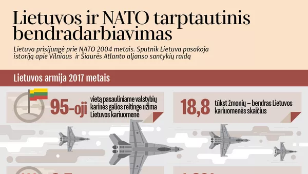 Lietuvos ir NATO tarptautinis bendradarbiavimas - Sputnik Lietuva