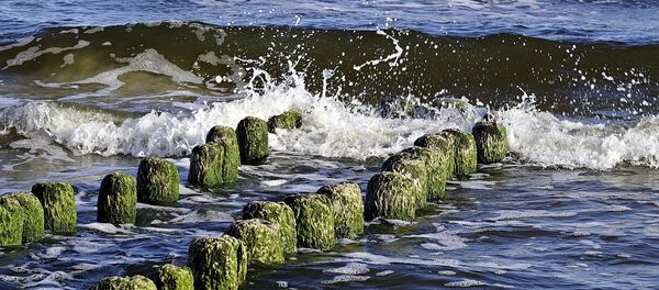 Балтийское море Балтийское море - Sputnik Литва