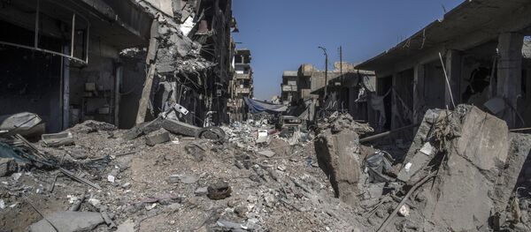 Вид на Ракку, Сирия. 19 октября 2017 года - Sputnik Литва