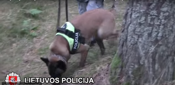 Klaipėdoje sulaikytas kvaišalus socialiniuose tinkluose platintojas Klaipėdoje sulaikytas kvaišalus socialiniuose tinkluose platintojas - Sputnik Lietuva