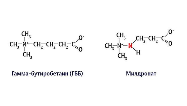 Отличие молекулы милдроната от гамма-бутиробетаина (ГББ) Отличие молекулы милдроната от гамма-бутиробетаина (ГББ) - Sputnik Литва