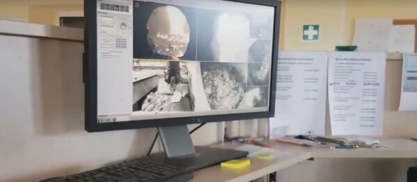 Lietuvos muitininkai sudegino 656 kg hašišo - Sputnik Lietuva