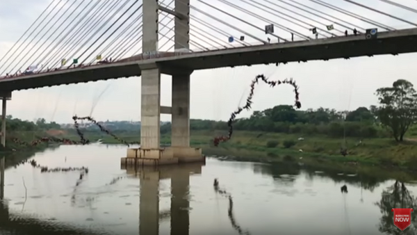 Brazilijoje 245 žmonės su virve šoko nuo tilto - Sputnik Lietuva
