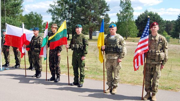 В учениях принимаю участие военные из Польши, из других 18 стран НАТО и пяти стран-партнеров альянса - Sputnik Lietuva