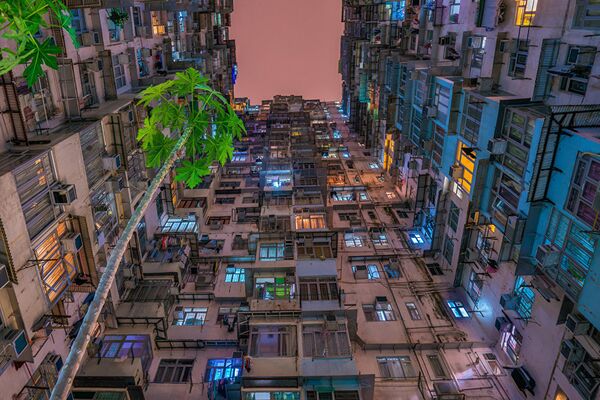 Снимок Нам нужен зеленый (We need green) фотографа Huynh Thu, который пытается привлечь внимане к тому, что людям, живущим в ограниченных пространствах Гонконга, нужно хоть как-то вспоминать о природе - Sputnik Литва