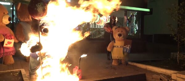 Активистка Femen сожгла игрушечных медведей в Киеве Активистка Femen сожгла игрушечных медведей в Киеве - Sputnik Lietuva