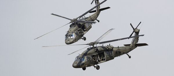 Black Hawk, archyvinė nuotrauka Black Hawk, archyvinė nuotrauka - Sputnik Lietuva