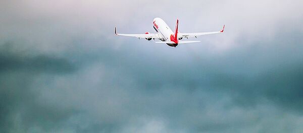 orlaivis orlaivis - Sputnik Lietuva