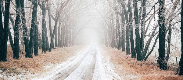 Мокрый снег Мокрый снег - Sputnik Литва