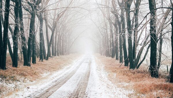 Мокрый снег, архивное фото - Sputnik Литва