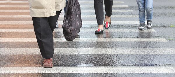 Pėsčiųjų perėja Pėsčiųjų perėja - Sputnik Lietuva