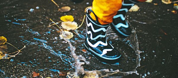 Дождливая осень, архивное фото Дождливая осень, архивное фото - Sputnik Литва