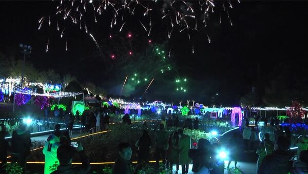 Зимний фестиваль света стартовал в Южной Корее - Sputnik Литва