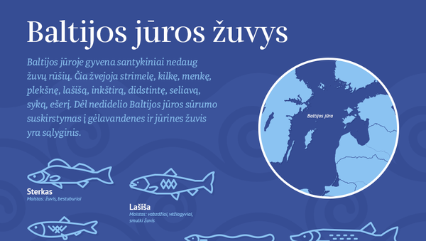 Baltijos jūros žuvys - Sputnik Lietuva