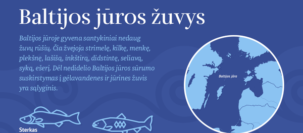 Baltijos jūros žuvys Baltijos jūros žuvys - Sputnik Lietuva