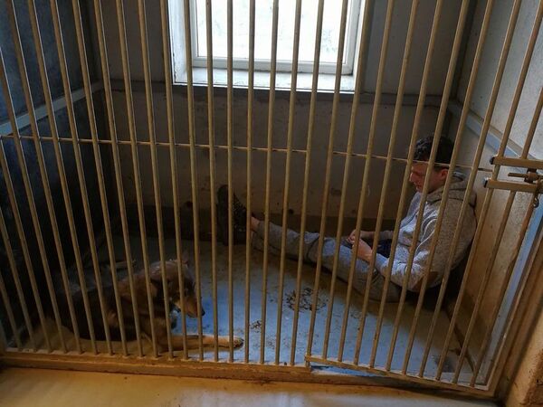 Студент Юстас выхаживает озлобленного пса Студент Юстас выхаживает озлобленного пса - Sputnik Lietuva